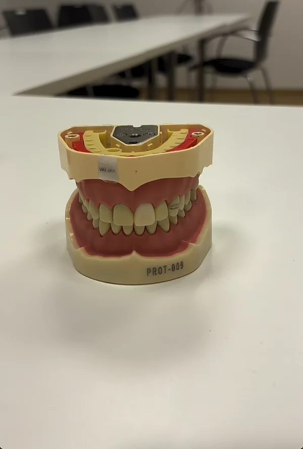 3DDruck Zahnmedizin_4